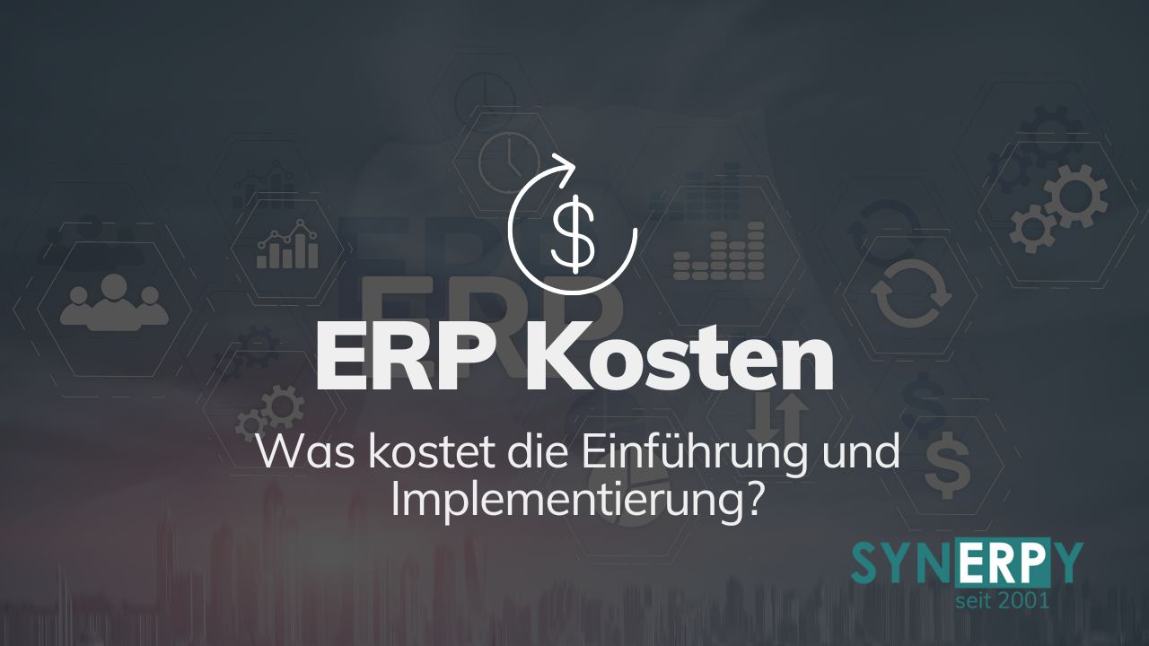 ERP Kosten